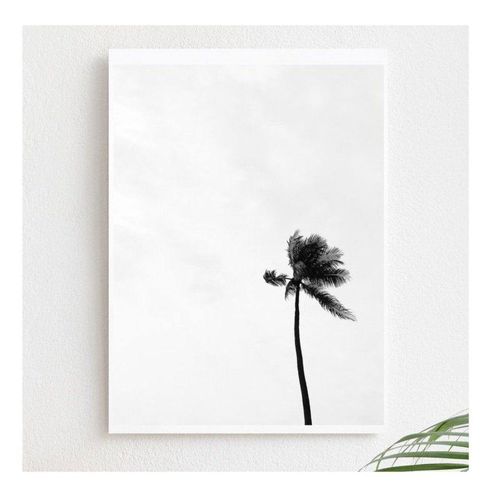 Palmera en Blanco y Negro Cuadro, arte 45cm x 60cm Hugga Store Cuadro huggastore.myshopify.com Hugga Store